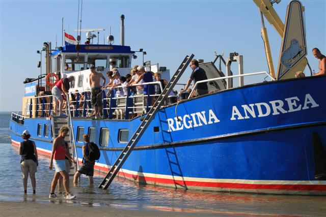 Activiteiten Waddenzee - dagtocht-waddenzee_wadloop-2012-bedrijfsuitje-friesland-small