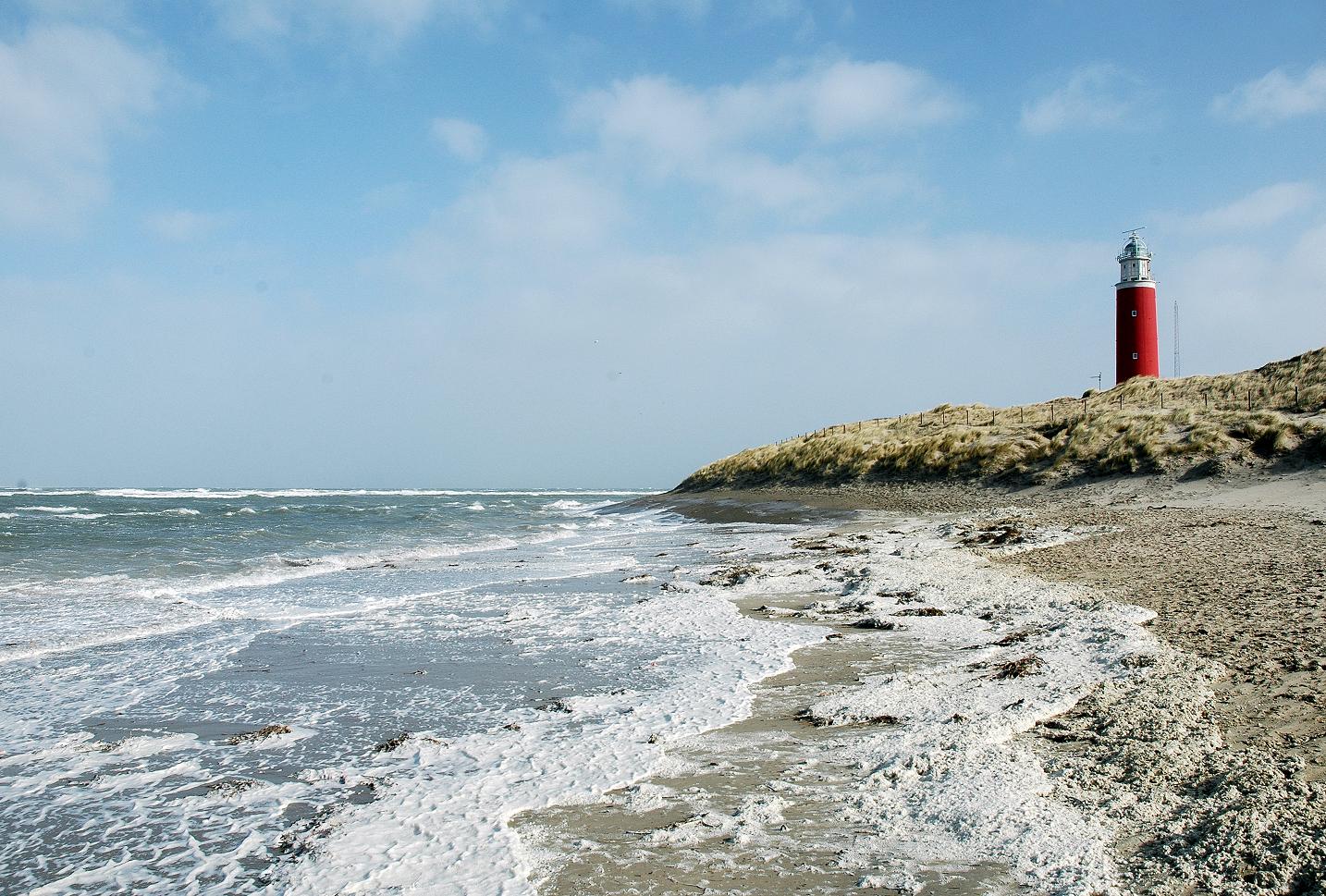 Dagtocht zeehonden Waddenzee - button_texel